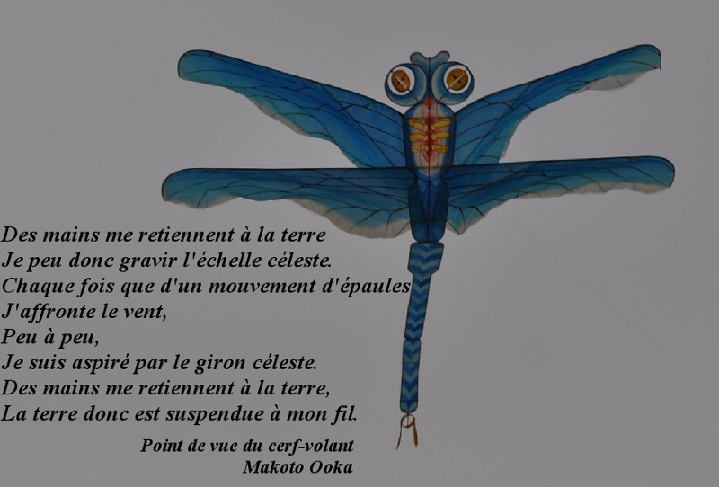 https://www.manubambou.fr/user_data/images/alpho-des_ailes_en_soie/voeux2011.jpg